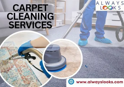 Cost For Carpet Cleaning Per Room In Sector 7, Gurgaon