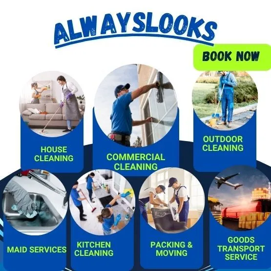 Professional Home Services
