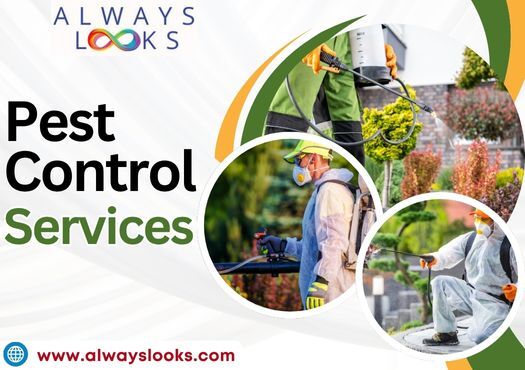 Pest Control Treatment Services In Jind, Haryana