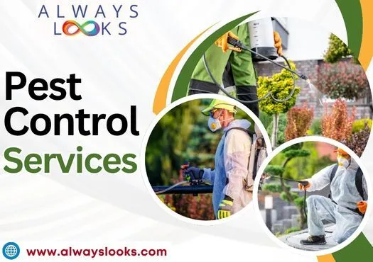 Pest Control Treatment Services In Sector M1-m4 Imt, Manesar