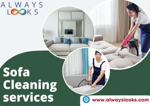 Charges For Sofa Cleaning In India